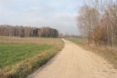 Jezioro Rajgrodzkie 6.11.2011r (17)