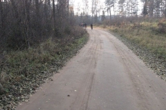 Jezioro Rajgrodzkie 6.11.2011r (23)