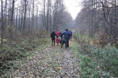 Jezioro Rajgrodzkie 6.11.2011r (49)