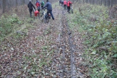 Jezioro Rajgrodzkie 6.11.2011r (51)