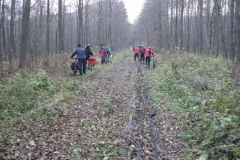 Jezioro Rajgrodzkie 6.11.2011r (52)