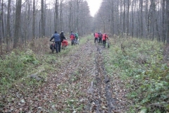 Jezioro Rajgrodzkie 6.11.2011r (52)