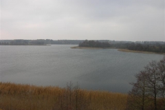 Jezioro Rajgrodzkie 6.11.2011r (81)