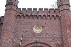 gizyko_2010-117