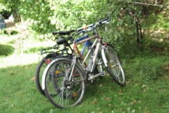 gizyko_2010-122