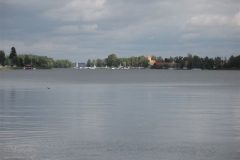 gizyko_2010-139