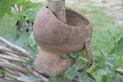 gizyko_2010-150