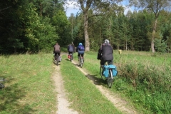 gizyko_2010-36