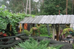 gizyko_2010-42