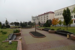 sam_4415