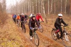 kozi-rynek-11-11-2014-32