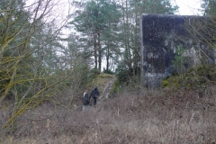 kryladka-29