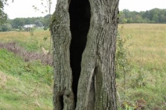 mazury-17