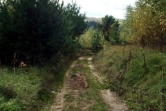 Smolniki 12.10.2003