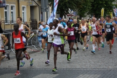 polmaraton_2015-4