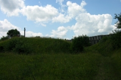 Bialorus_2011 (100)